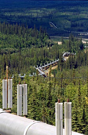 Alaska Pipeline near Yukon