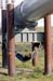 Alaska_Artic Inn proprietor takes a break underneath Alaska Pipeline at mile 130